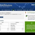 Affiliate Forex Program - Tips When Setting up One