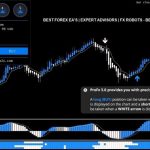 Forex Software Review - Right Ways For Evaluating
